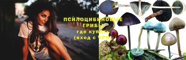 таблы Алексин