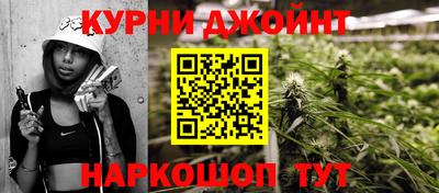 a pvp Гатчина