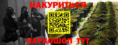 винт Гай