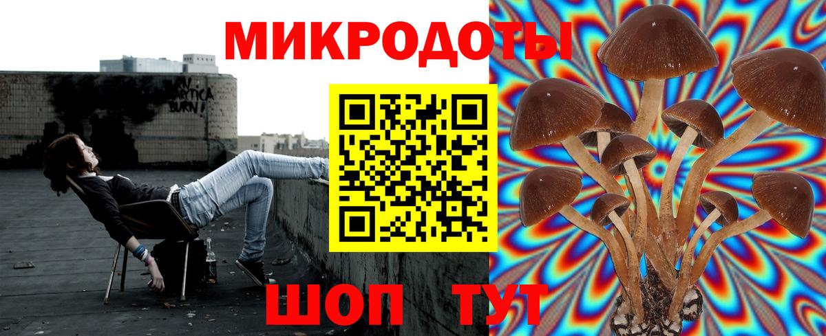 Лабинск  Галлюциногенные грибы MAGIC MUSHROOMS  Вход с VPN  Галлюциногенные грибы GOLDEN TEACHER 